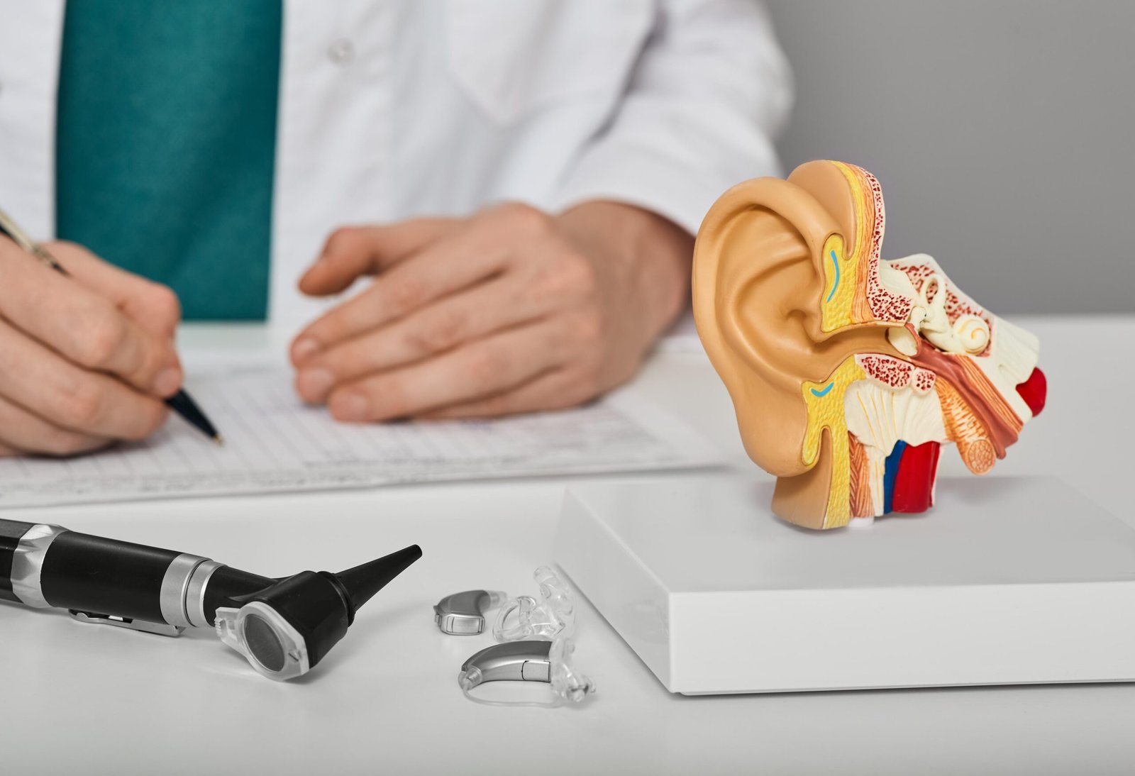 Clinician at a desk beside an anatomical ear model